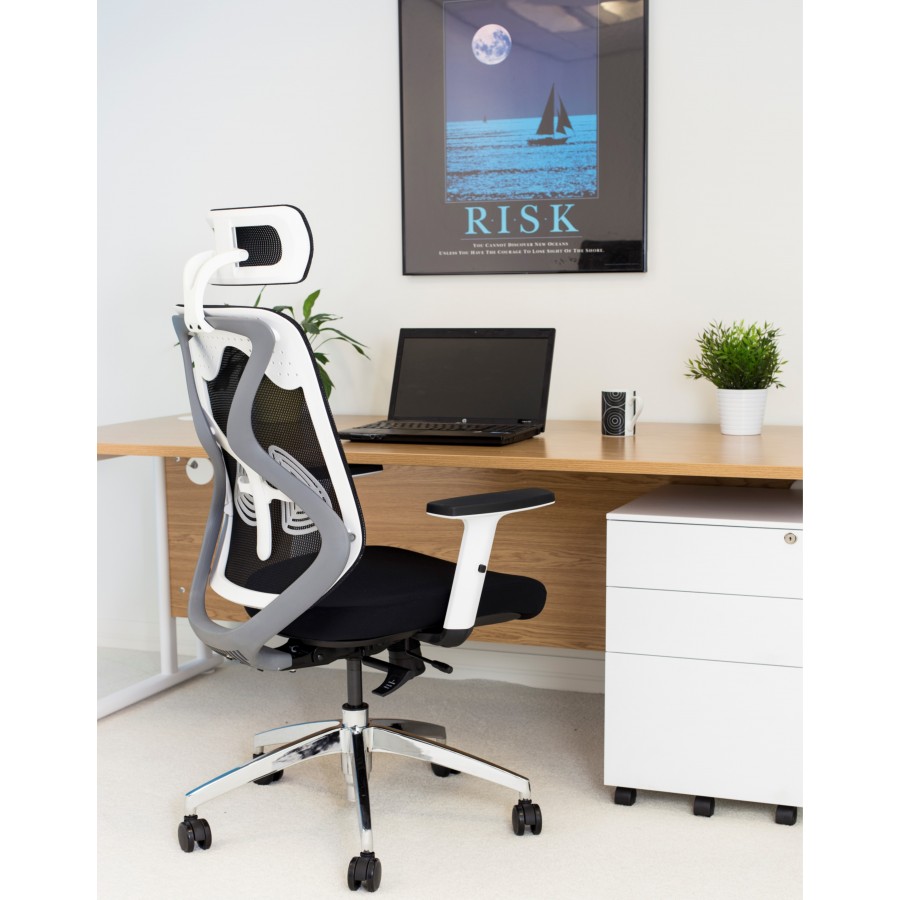 Maldini White Frame Mesh Posture Ergonomic Chair